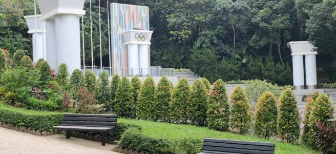 a row of benches sitting next to a lush green park